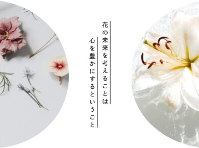 rebirth リバース – Loss Flower Project 捨てられていく花を もう一度