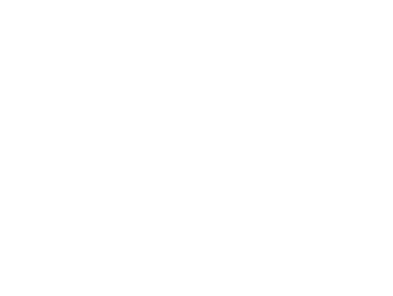 rebirth Loss Flower Project